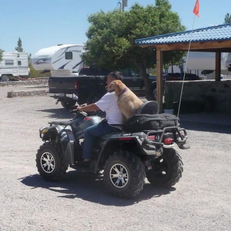 Man driving ATV with a dog as passenger