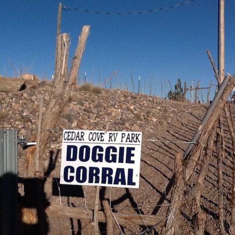 Doggie corral
