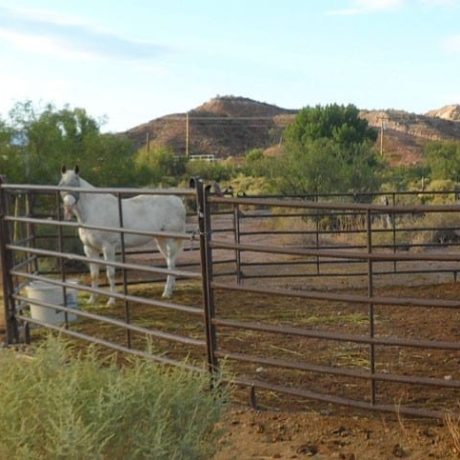 Horse corral