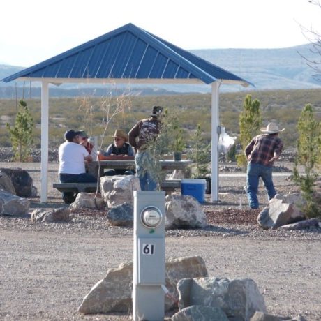 Playing horseshoes